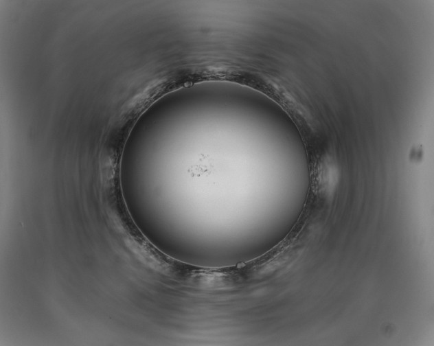 X0000090920472200707301537