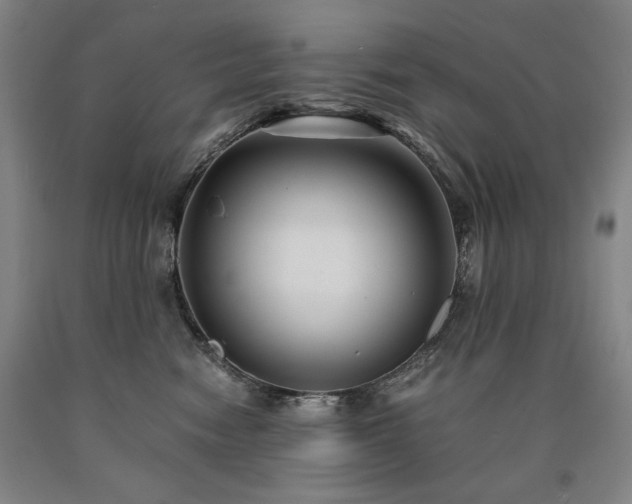 X0000090920474200707301537