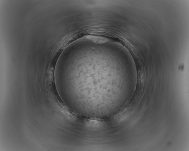 X0000090920475200707301537