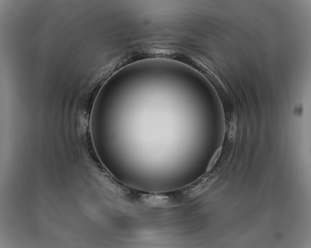 X0000090920476200707301537
