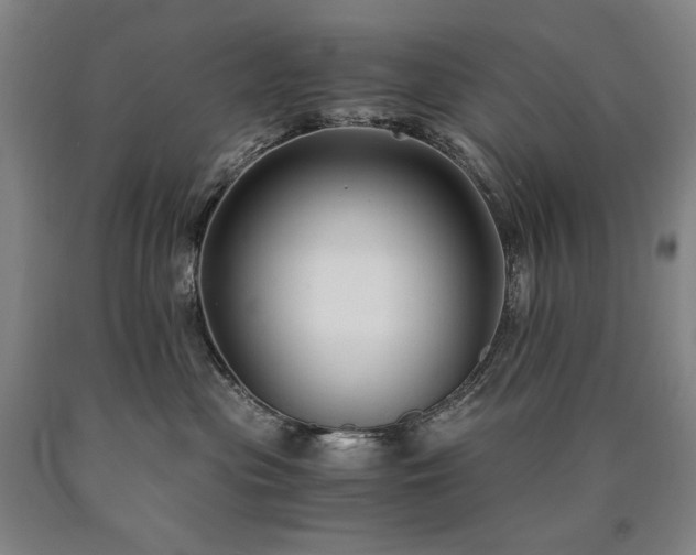 X0000090920477200707301537