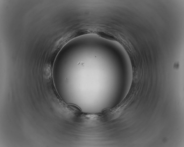 X0000090920478200707301537