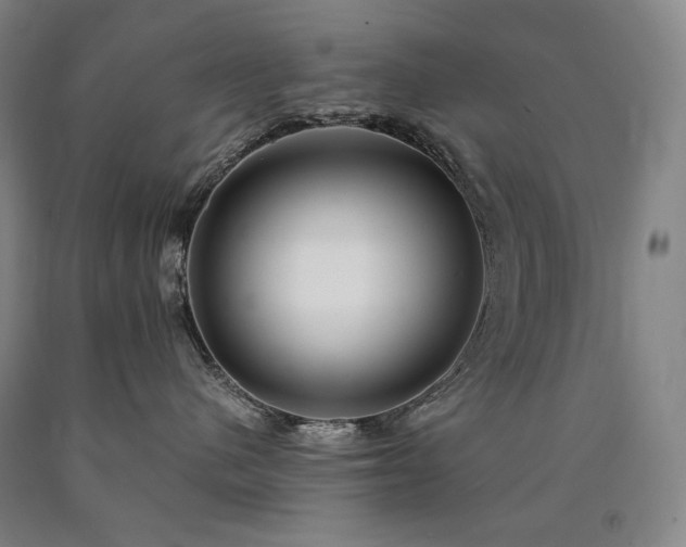 X0000090920480200707301537