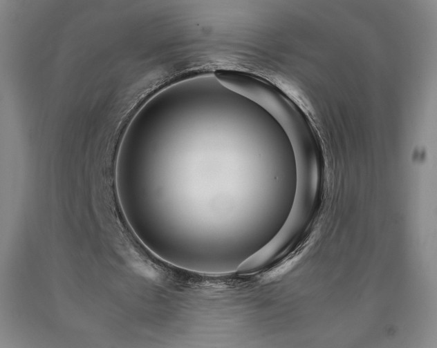 X0000090920481200707301536