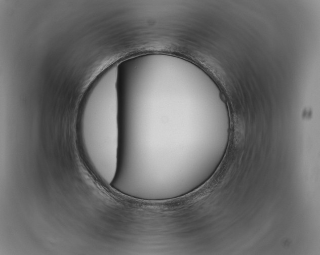 X0000090920482200707301536