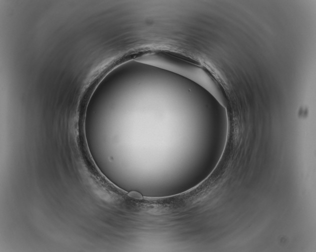 X0000090920486200707301536