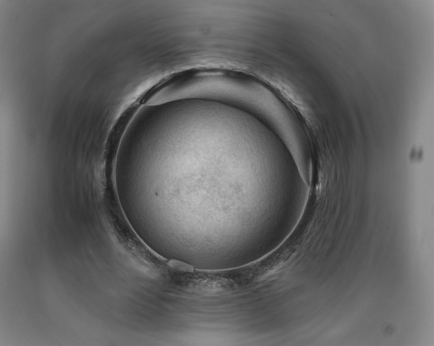 X0000090920488200707301536