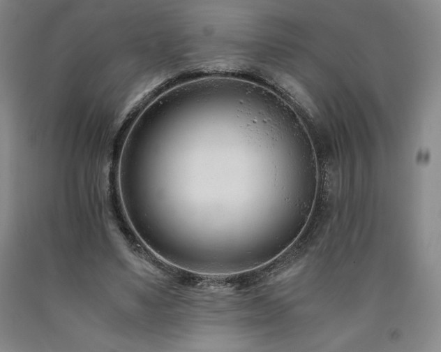 X0000090920491200707301536
