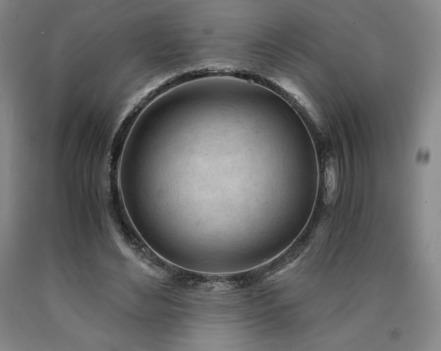 X0000090920492200707301536