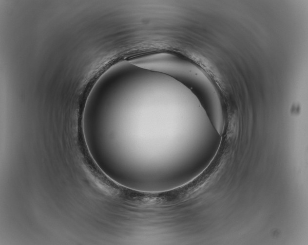 X0000090920493200707301536