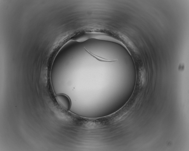 X0000090920494200707301536