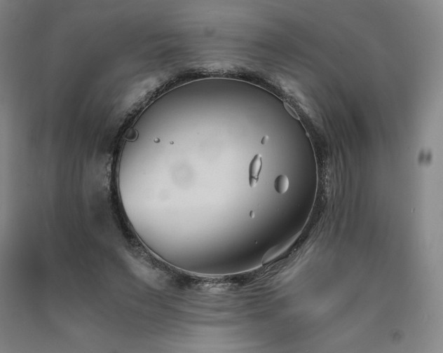 X0000090920495200707301536