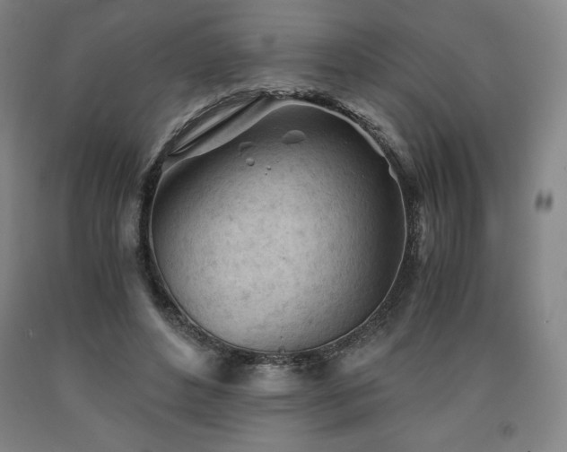 X0000090920496200707301536