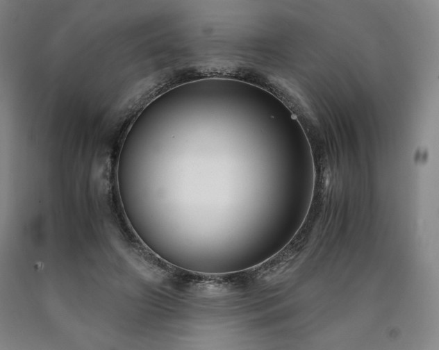X0000090920498200707301536