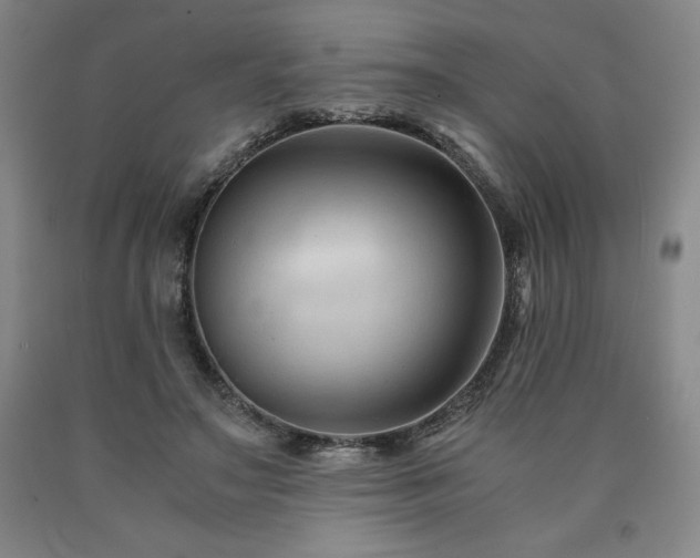 X0000090920499200707301536