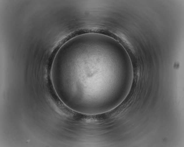 X0000090920500200707301536