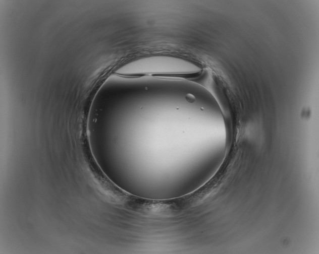X0000090920501200707301536