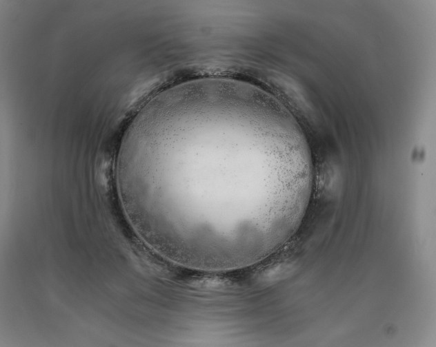 X0000090920503200707301536