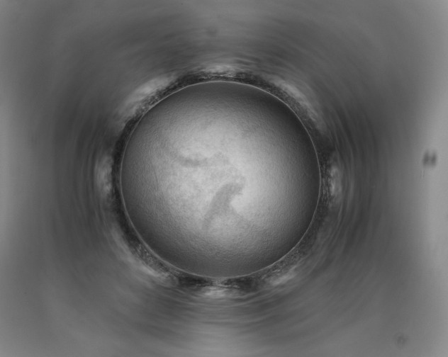 X0000090920504200707301536