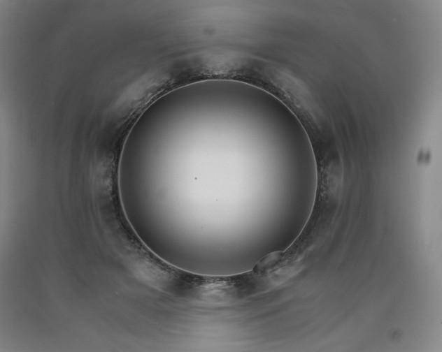 X0000090920505200707301536