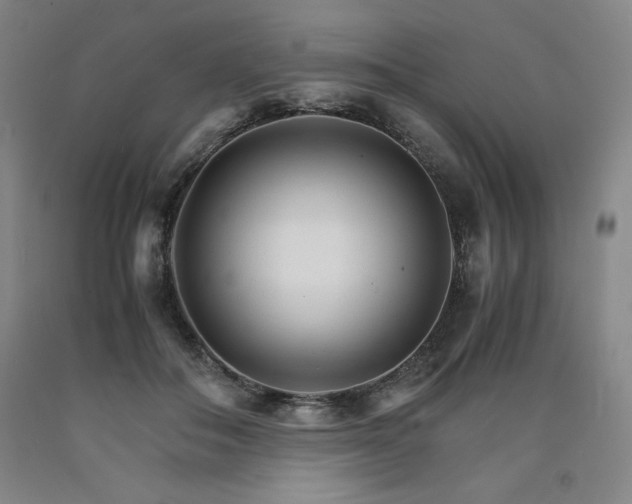 X0000090920506200707301536