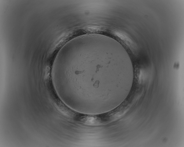 X0000090920507200707301536