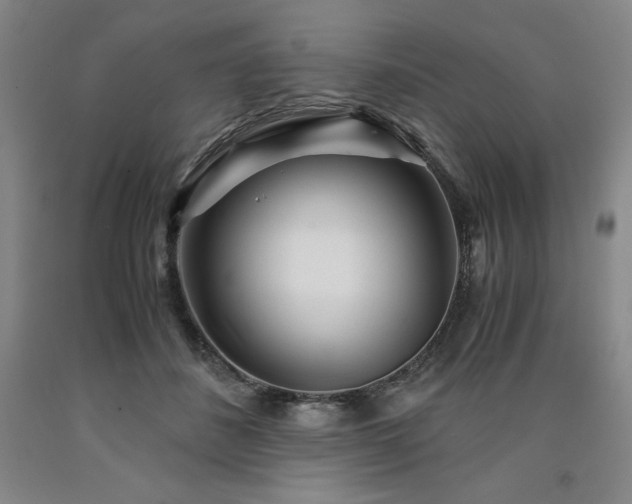 X0000090920508200707301536