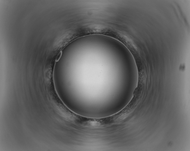 X0000090920509200707301536