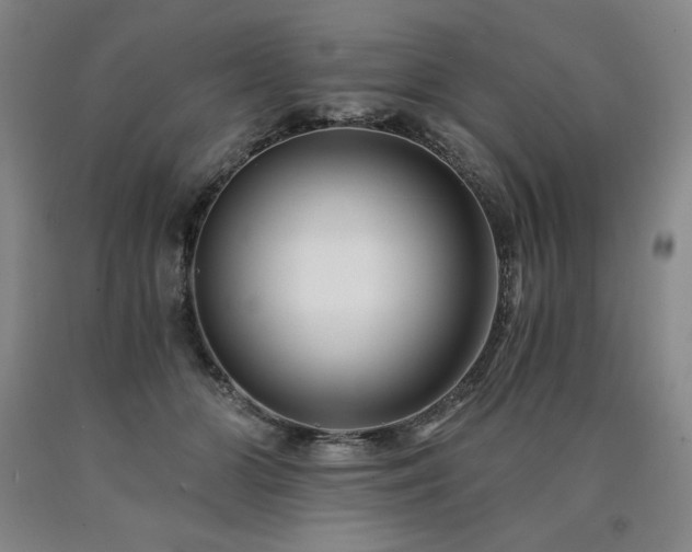 X0000090920510200707301536