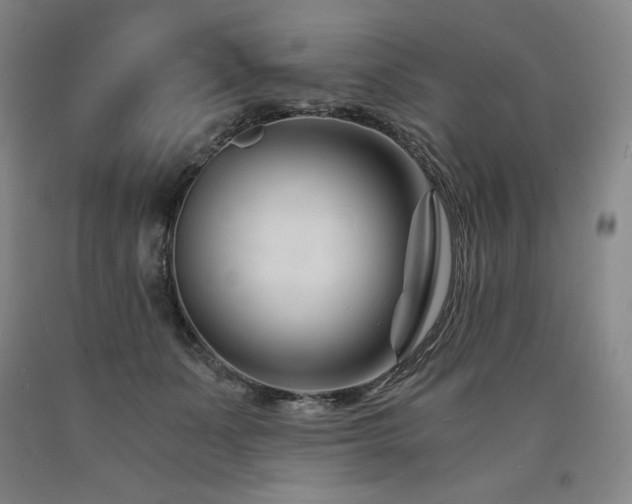 X0000090920511200707301536