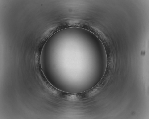 X0000090920513200707301536