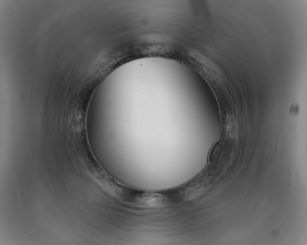 X0000090920514200707301536