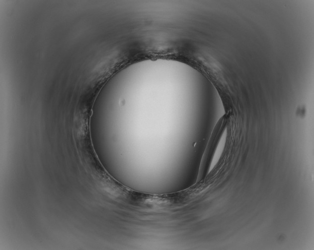 X0000090920515200707301536