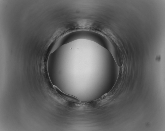 X0000090920516200707301536