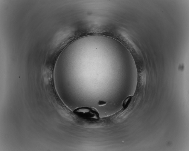 X0000090920517200707301536