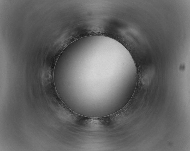 X0000090920518200707301536