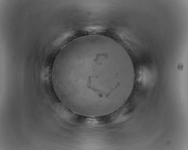 X0000090920519200707301536