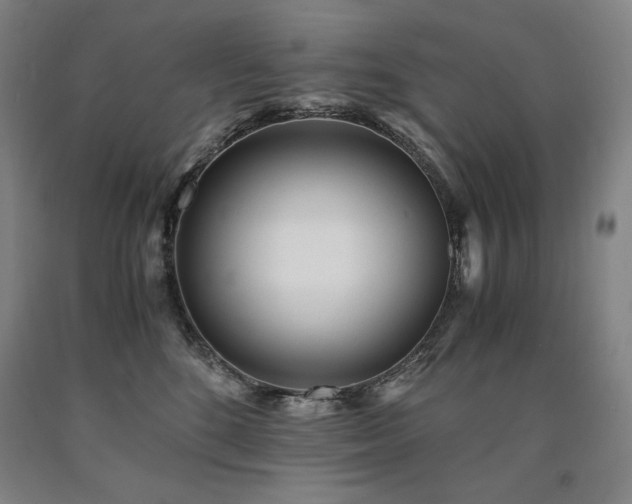 X0000090920520200707301536