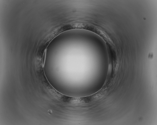 X0000090920521200707301536