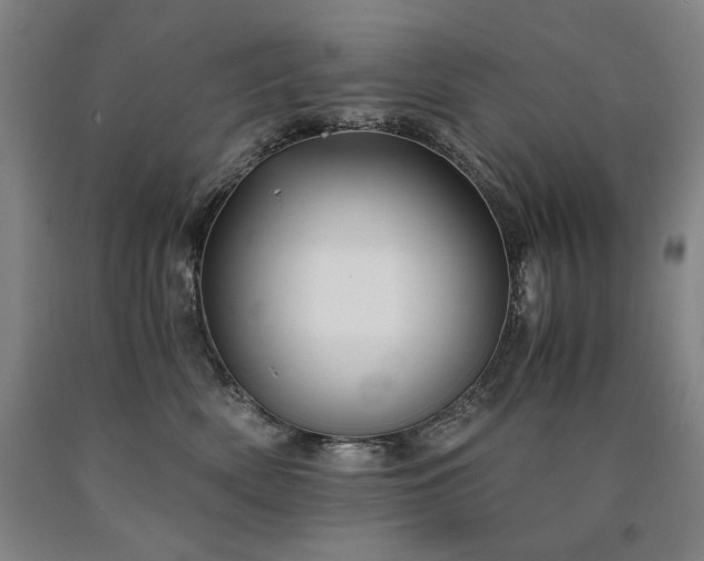 X0000090920522200707301536