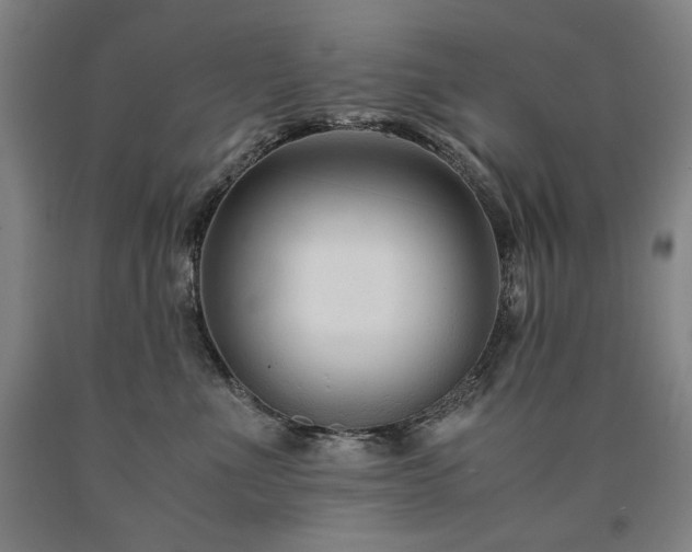 X0000090920523200707301536