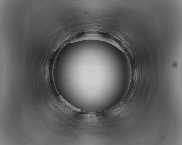 X0000090920524200707301536
