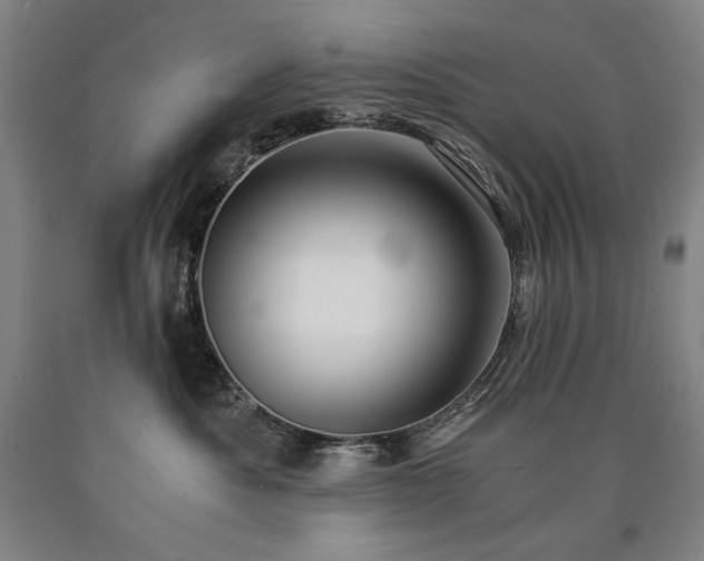 X0000090920525200707301536