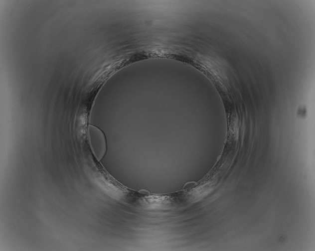 X0000090920526200707301535