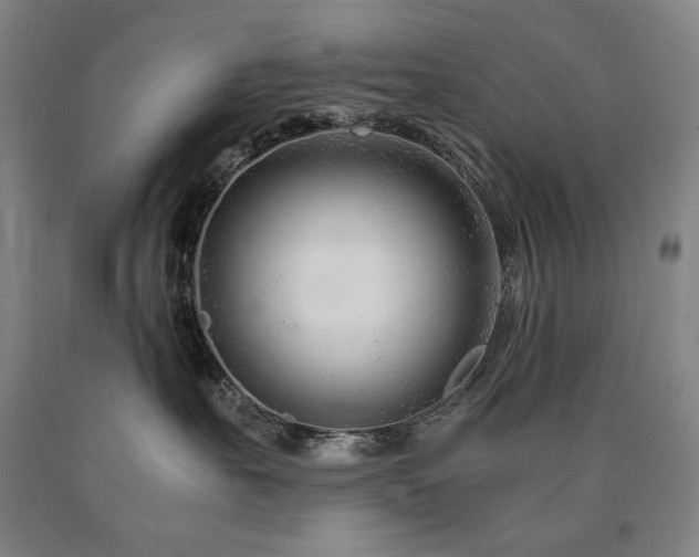 X0000090920527200707301535