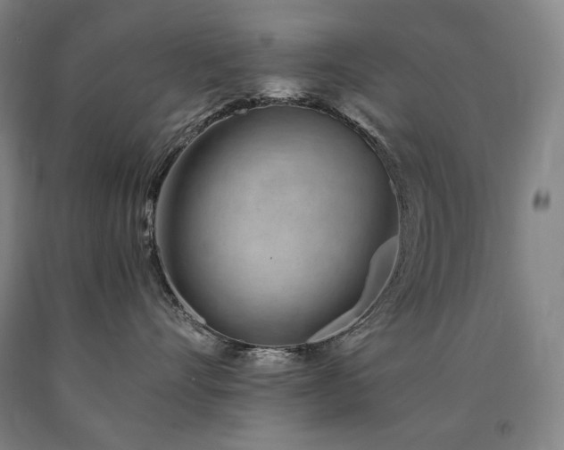 X0000090920528200707301535