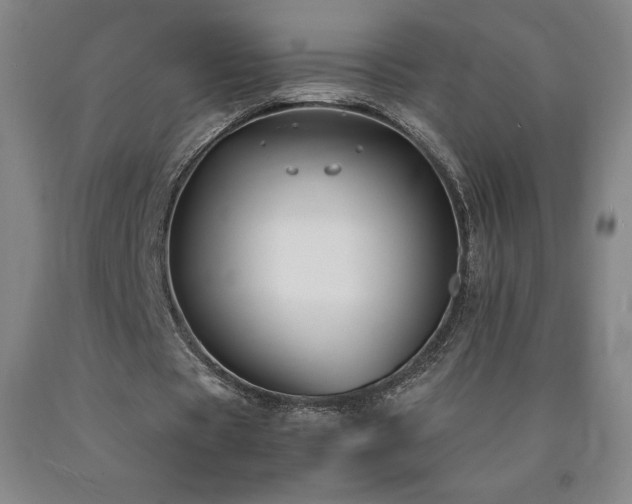 X0000090920529200707301535
