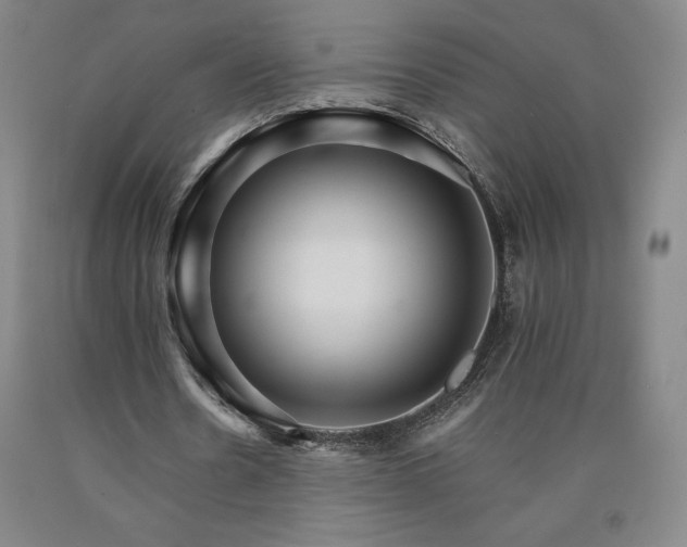 X0000090920530200707301535