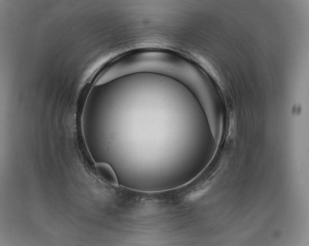 X0000090920531200707301535