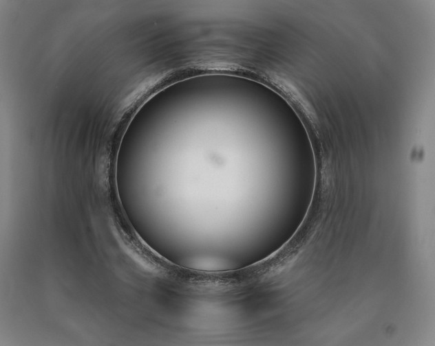 X0000090920533200707301535